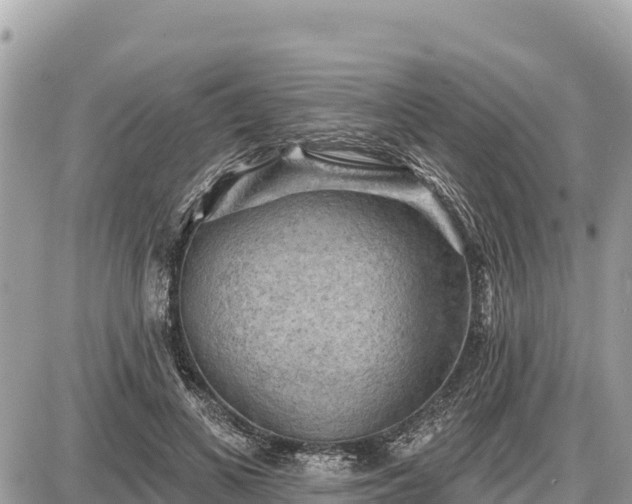 X0000087550693200705041328