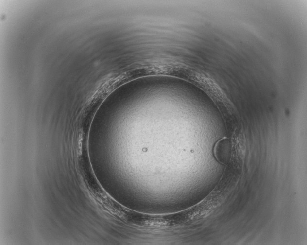 X0000087550694200705041328