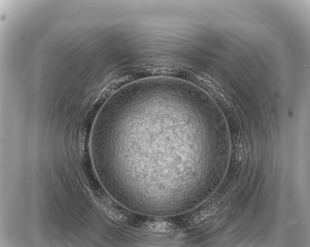 X0000087550695200705041328