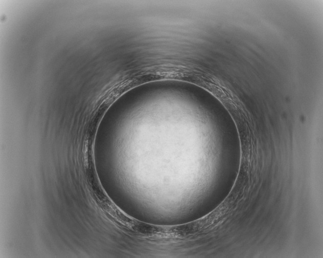 X0000087550696200705041328