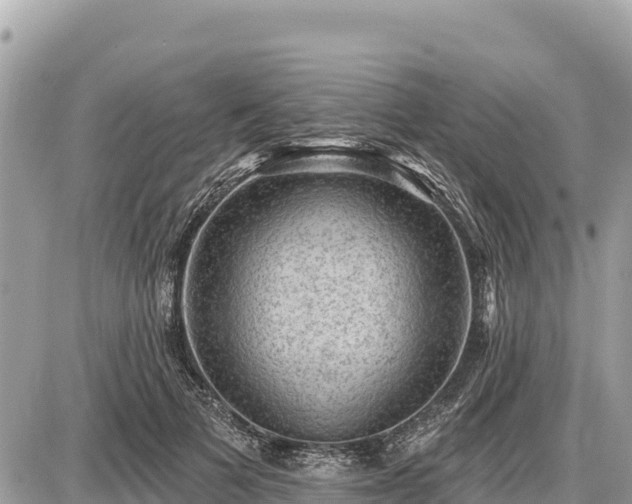 X0000087550697200705041328