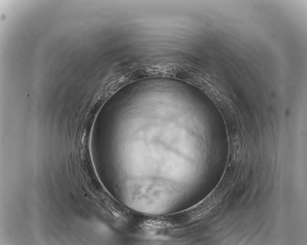 X0000087550699200705041328