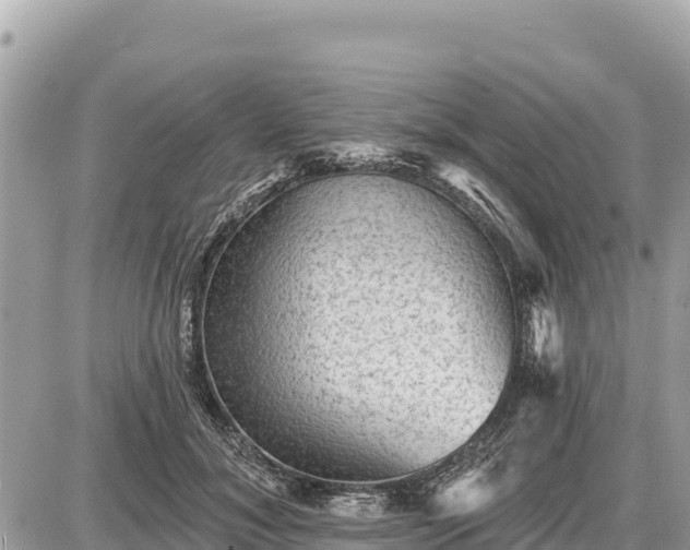 X0000087550700200705041328