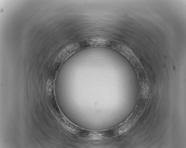 X0000087550701200705041328