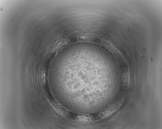 X0000087550703200705041328