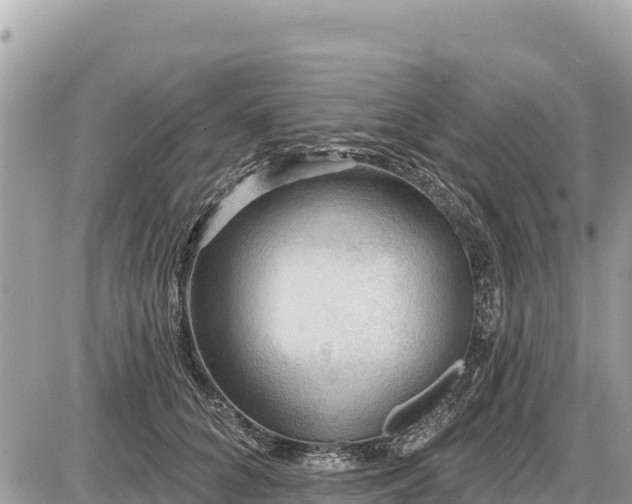 X0000087550704200705041328