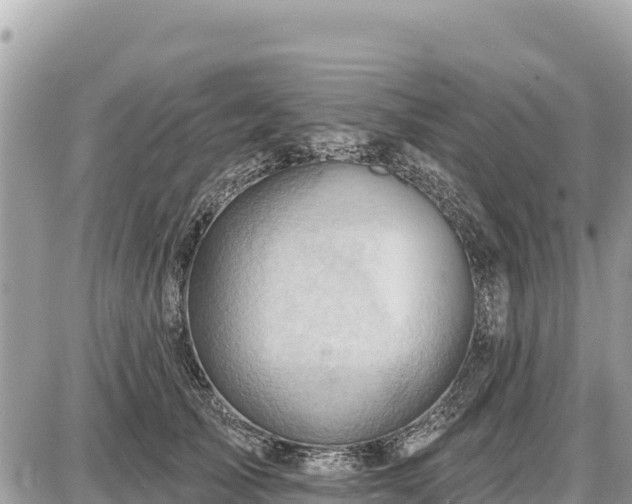 X0000087550705200705041328