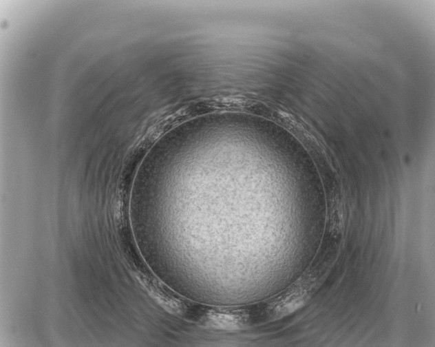 X0000087550706200705041328