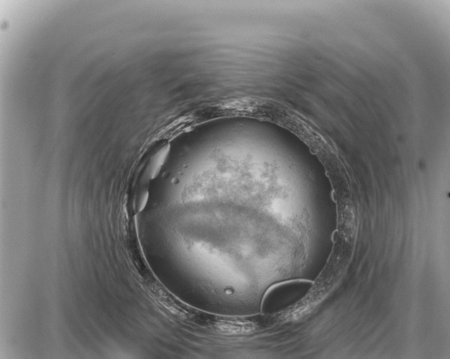 X0000087550707200705041328