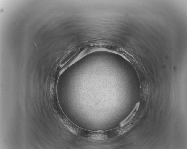 X0000087550708200705041328