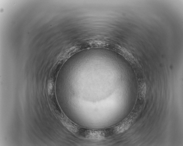 X0000087550709200705041328