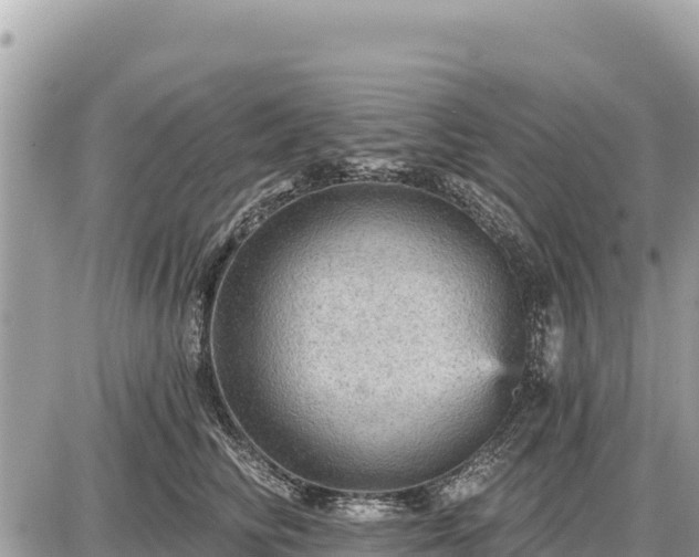 X0000087550710200705041328