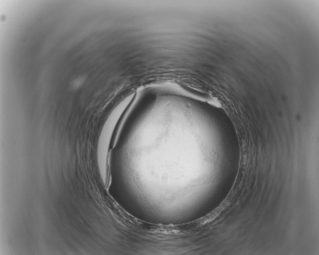 X0000087550712200705041328