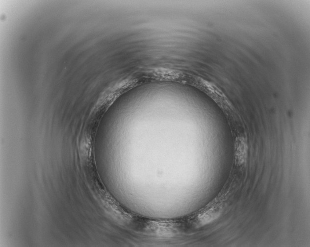 X0000087550713200705041328