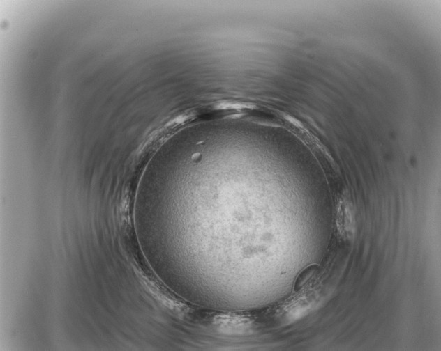 X0000087550714200705041328