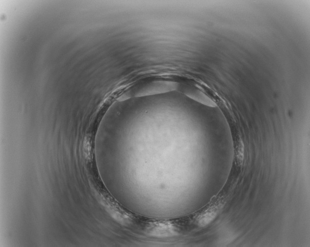 X0000087550715200705041328