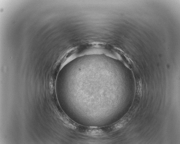 X0000087550716200705041328