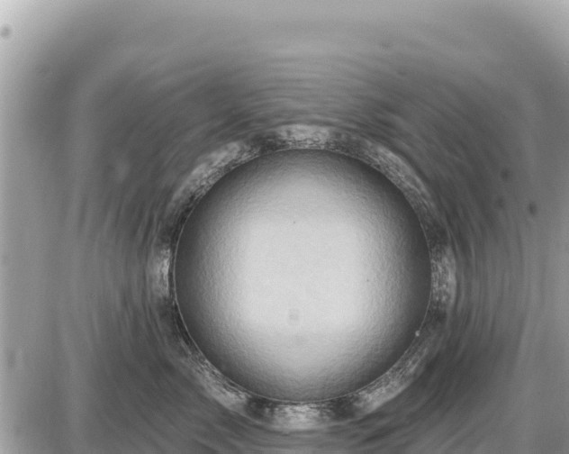 X0000087550717200705041328