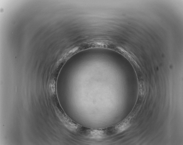 X0000087550718200705041328