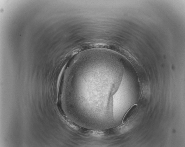 X0000087550719200705041328