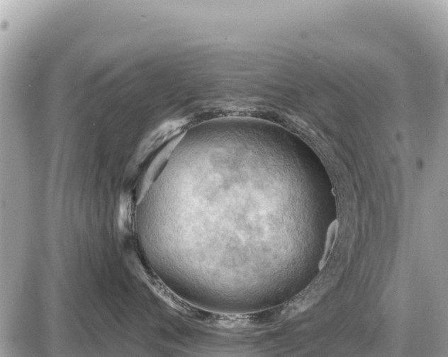 X0000087550720200705041328