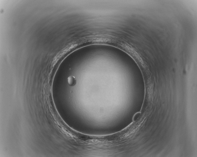 X0000087550721200705041327