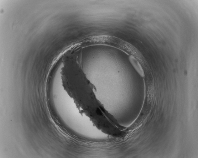 X0000087550722200705041327