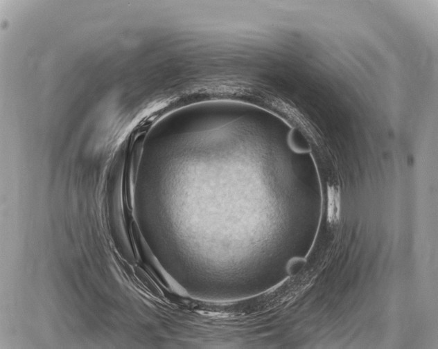 X0000087550723200705041327