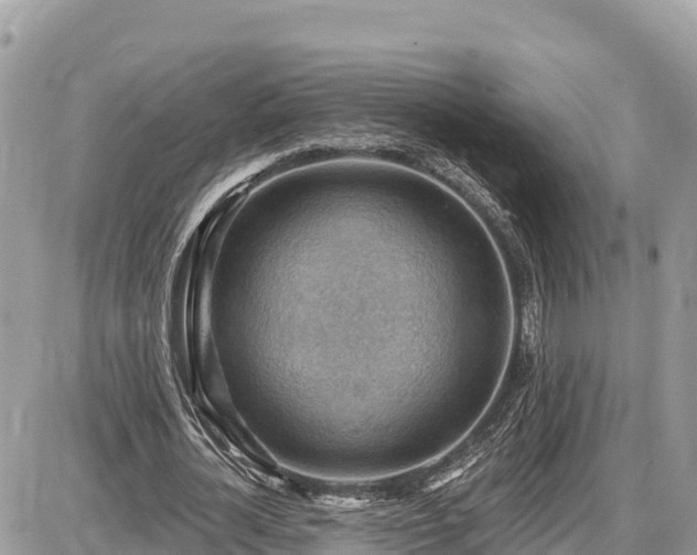 X0000087550724200705041327