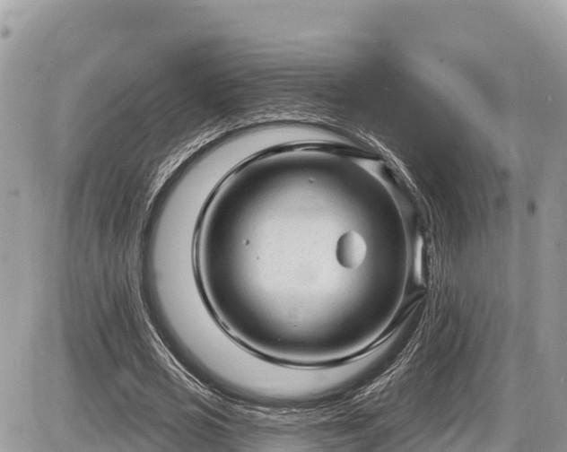 X0000087550725200705041327