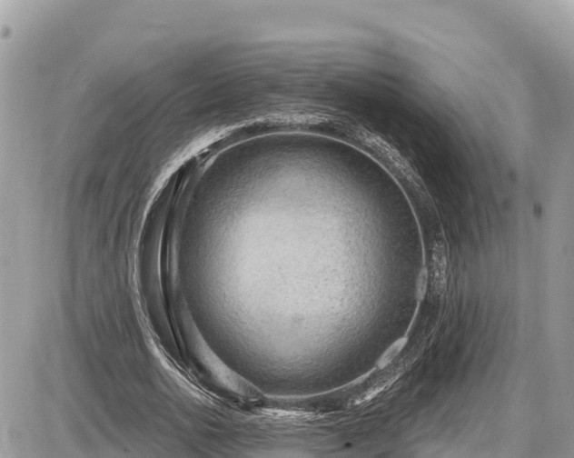 X0000087550726200705041327