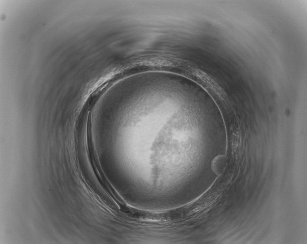 X0000087550727200705041327