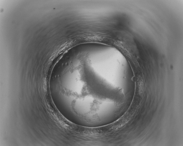 X0000087550729200705041327