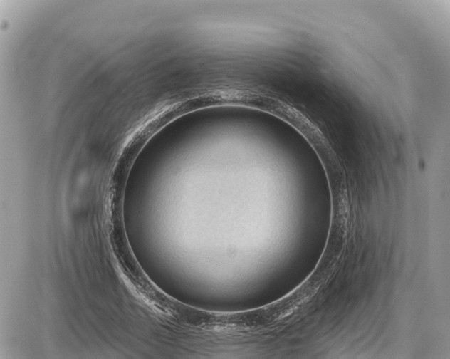 X0000087550730200705041327