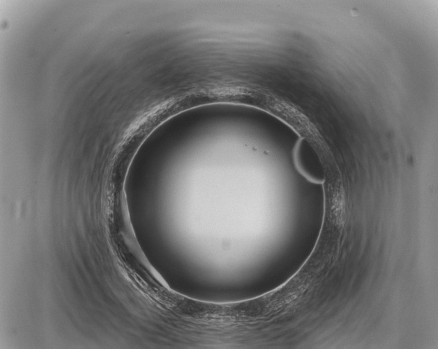 X0000087550732200705041327