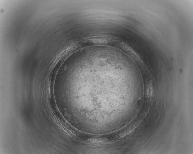 X0000087550733200705041327