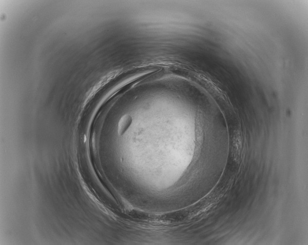 X0000087550734200705041327