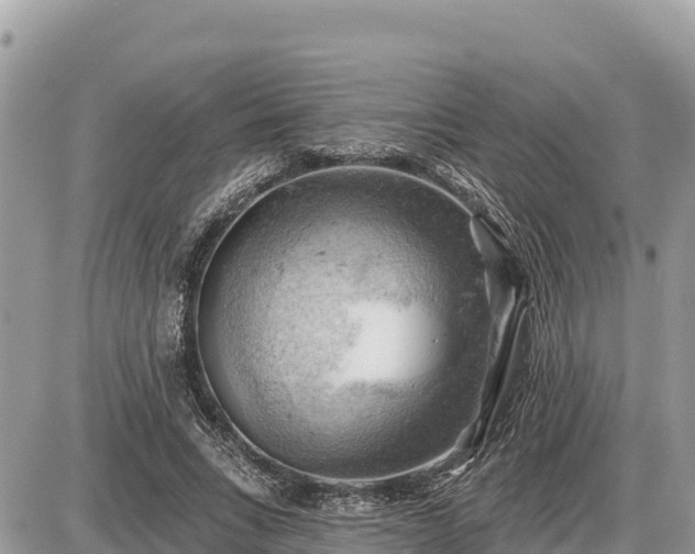 X0000087550735200705041327