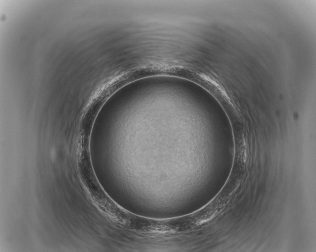 X0000087550736200705041327