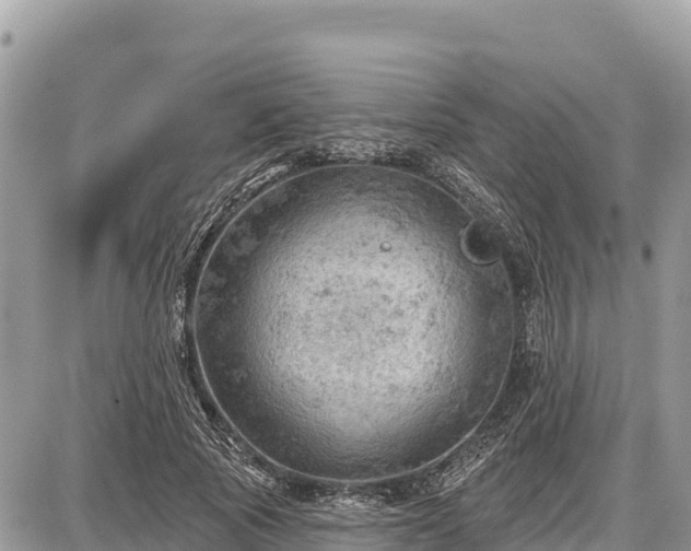 X0000087550737200705041327