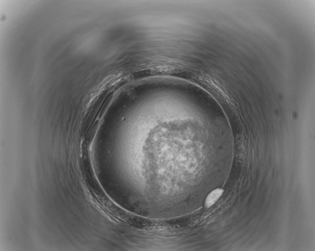 X0000087550738200705041327