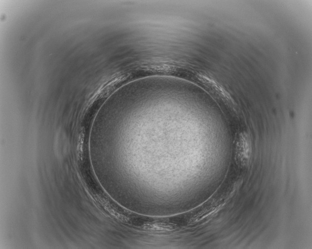 X0000087550739200705041327