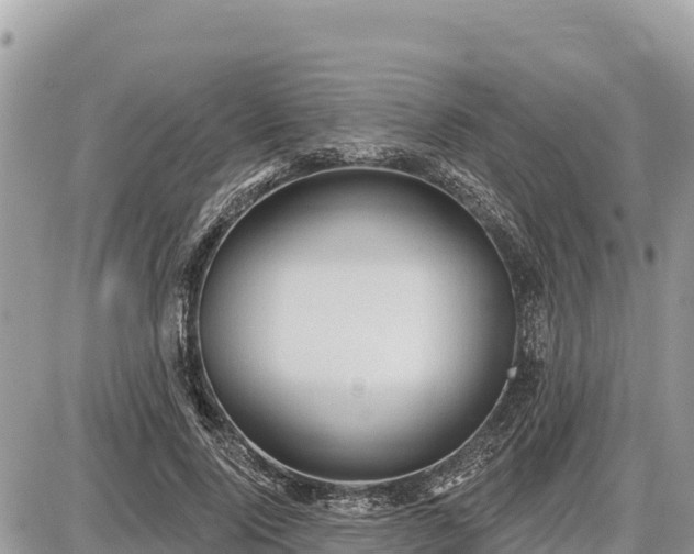 X0000087550740200705041327