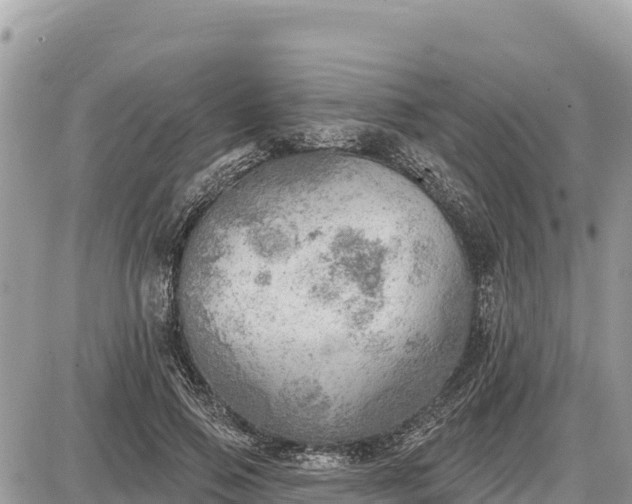 X0000087550741200705041327