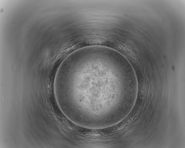 X0000087550743200705041327