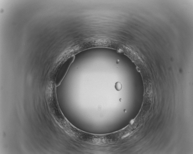 X0000087550744200705041327