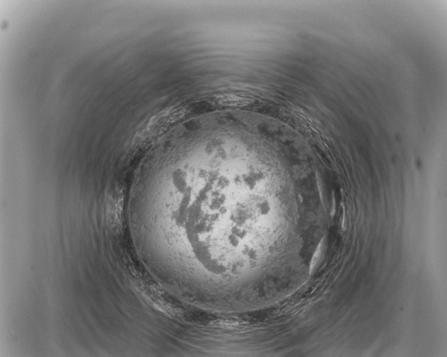 X0000087550745200705041327