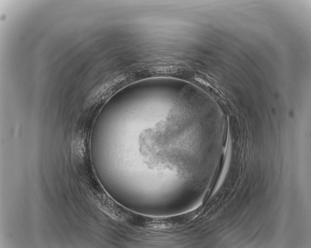 X0000087550746200705041327