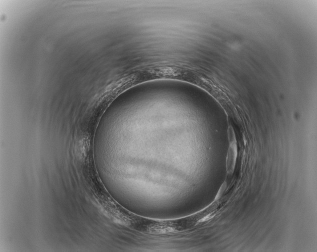 X0000087550747200705041327