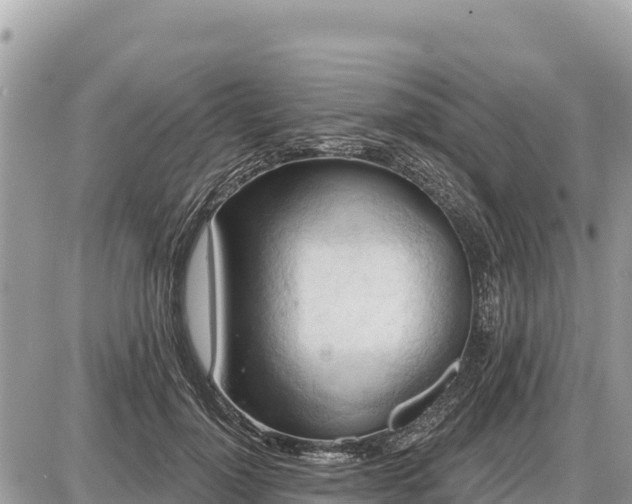 X0000087550748200705041327